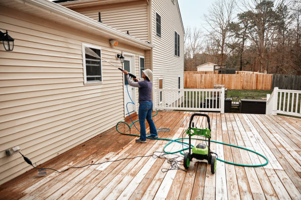 Best Affordable Power Washing  in Las Quintas Fronterizas, TX