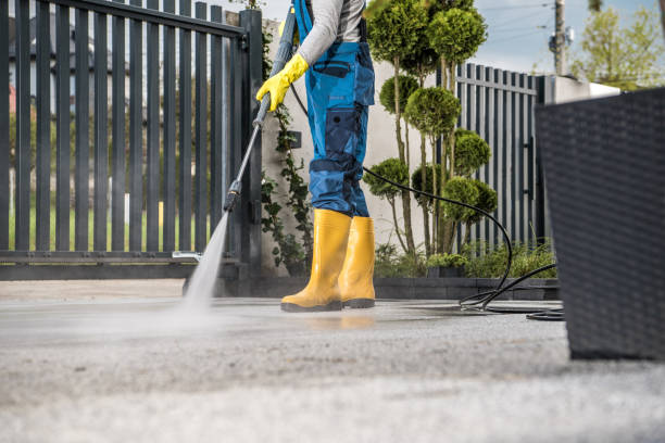 Best Affordable Pressure Washing  in Las Quintas Fronterizas, TX