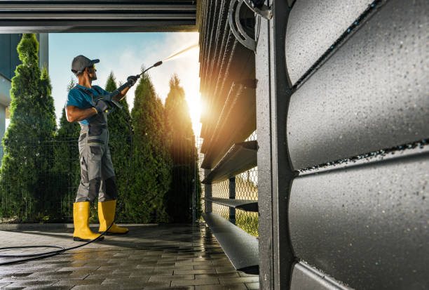 Best Power Washing Near Me  in Las Quintas Fronterizas, TX