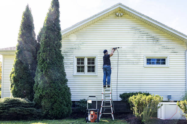 Best Exterior Home Cleaning  in Las Quintas Fronterizas, TX