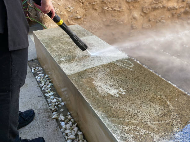 Best Sidewalk Pressure Washing  in Las Quintas Fronterizas, TX