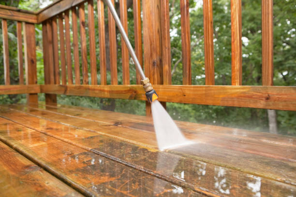 Best Best Pressure Washing Companies  in Las Quintas Fronterizas, TX