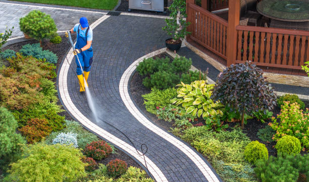 Best Residential Pressure Washing Services  in Las Quintas Fronterizas, TX